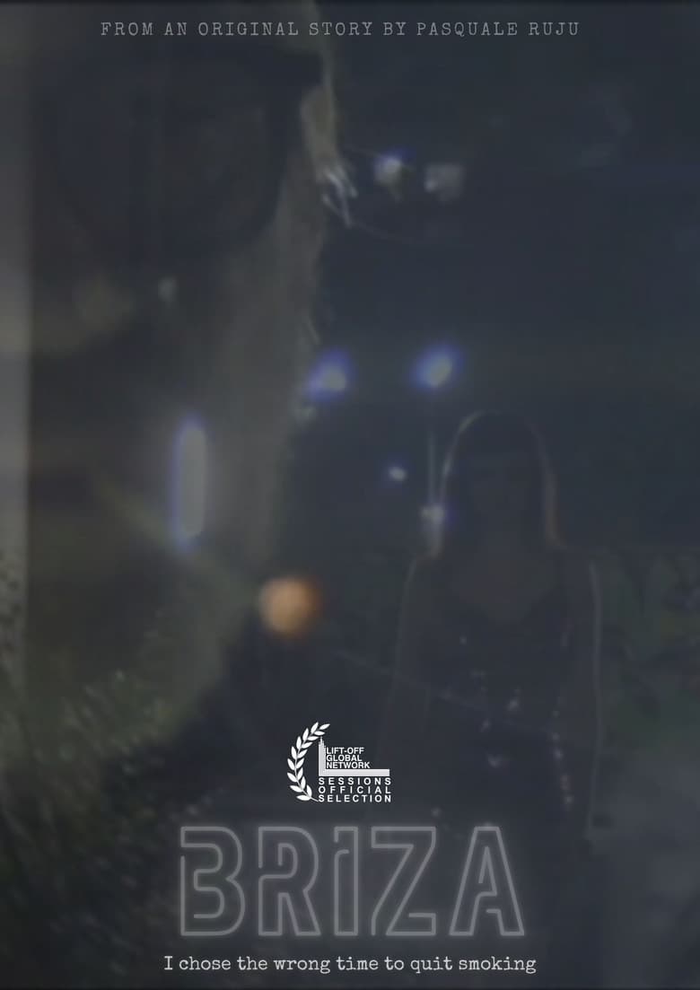 Briza poster