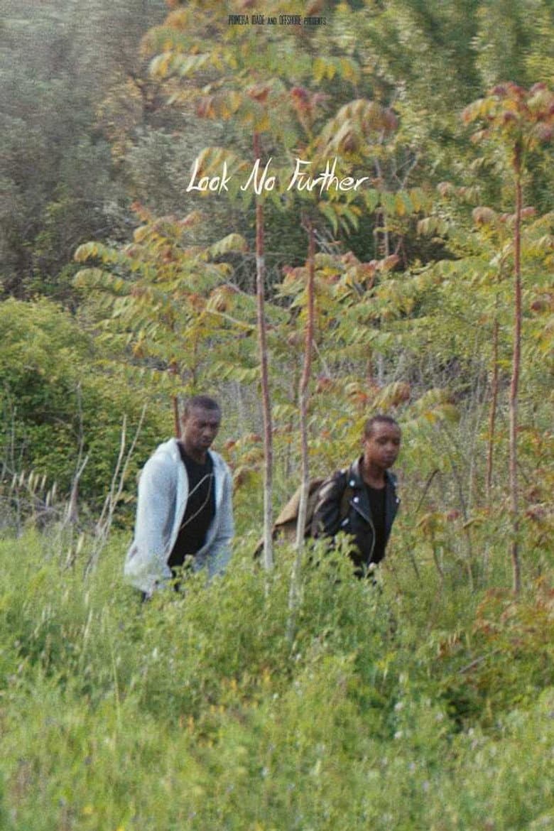 Look No Further poster