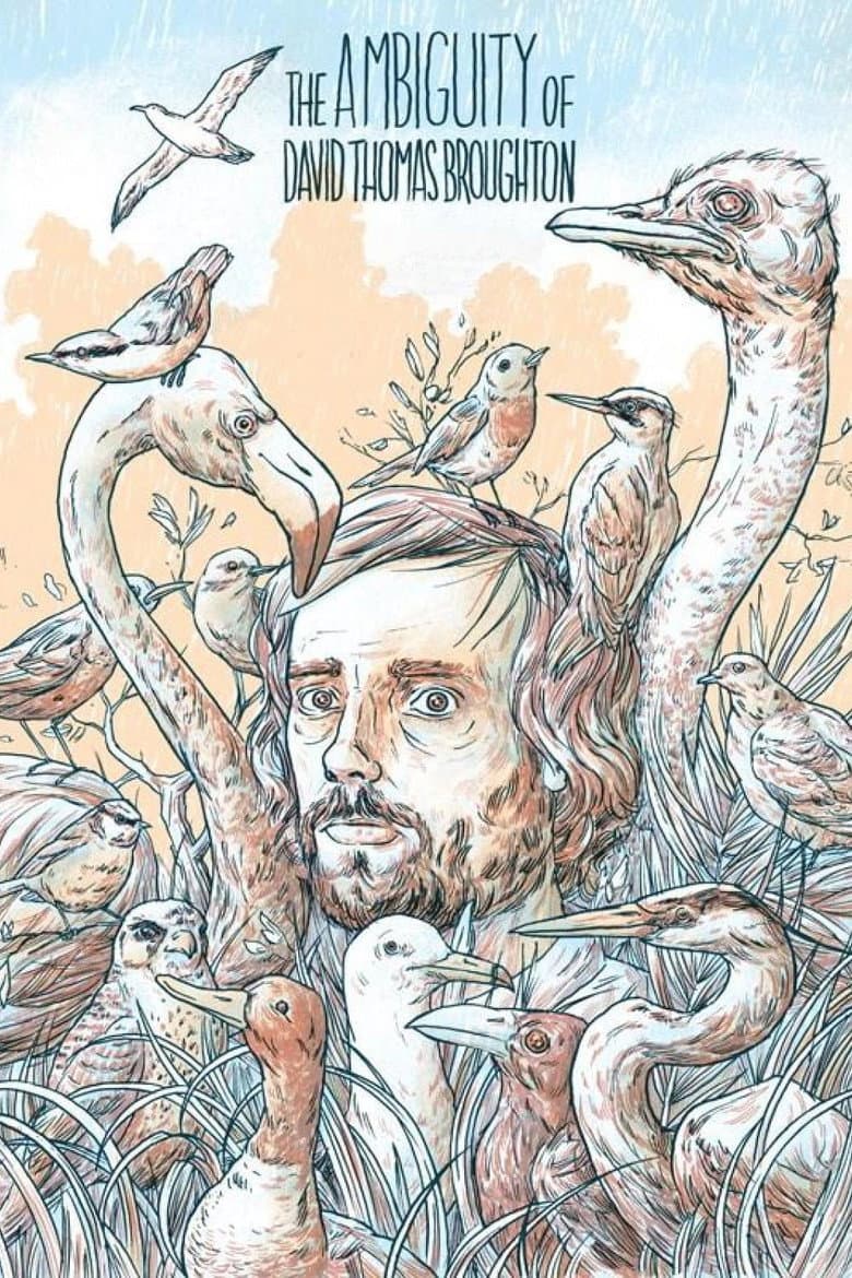 The Ambiguity of David Thomas Broughton poster