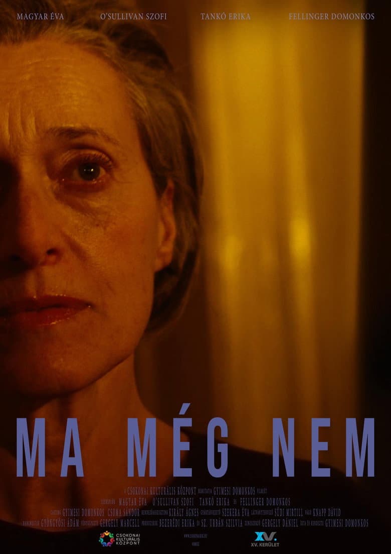 Not Yet Today poster