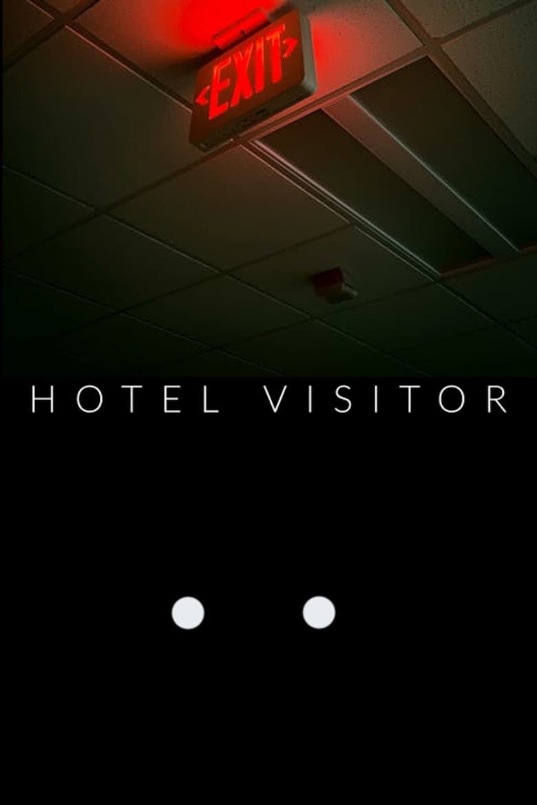 Hotel Visitor poster