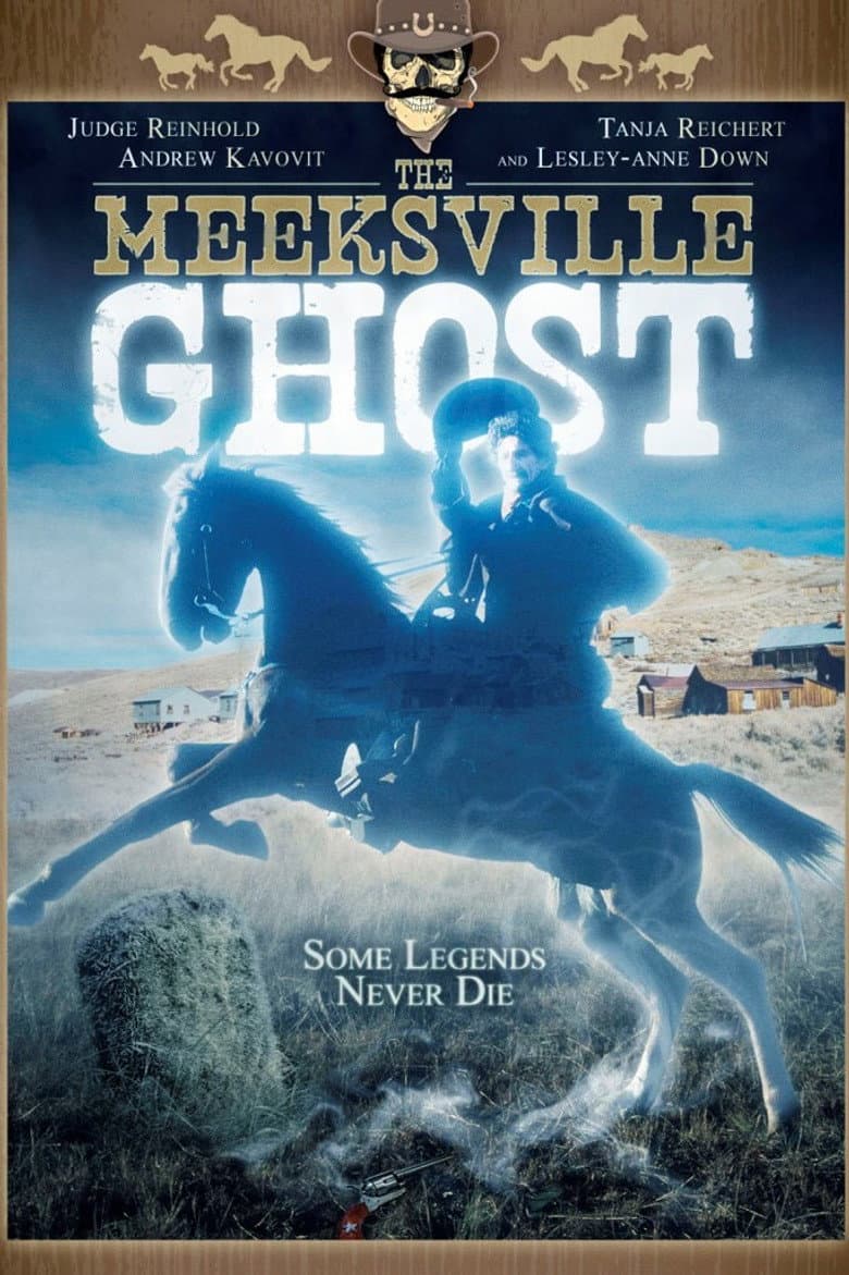 The Meeksville Ghost poster