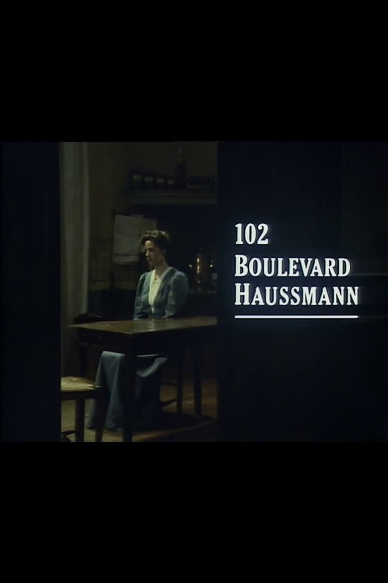 102 Boulevard Haussmann poster