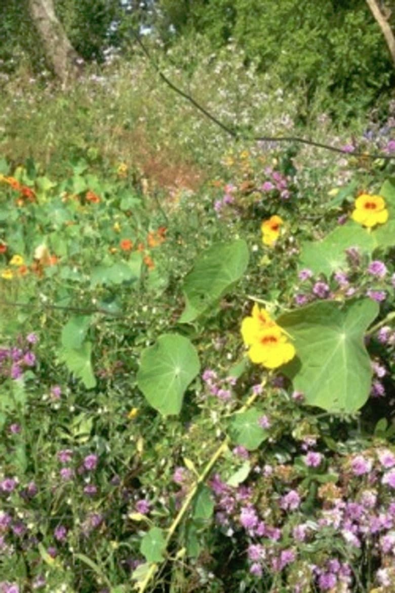 Colophon (for the Arboretum Cycle) poster