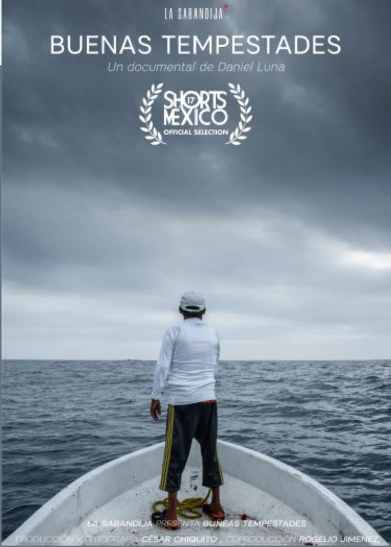 Good Storms poster