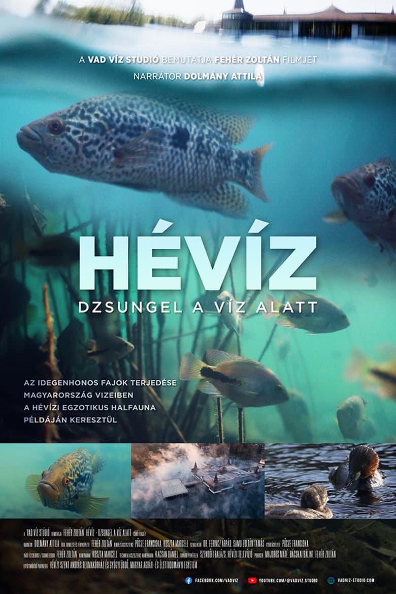 The Underwater Jungle poster