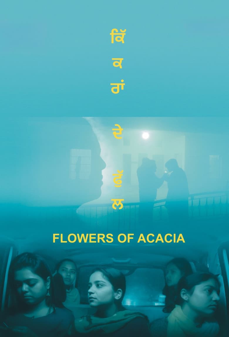 Flowers of Acacia poster