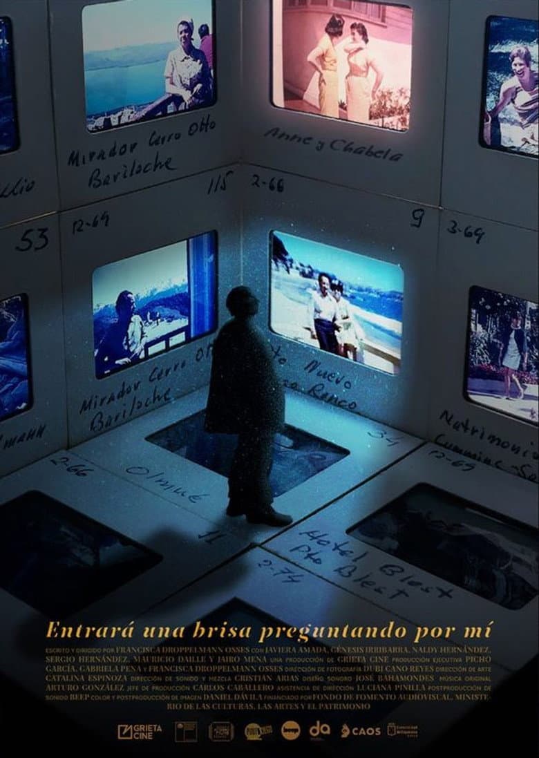 Entrará una brisa preguntando por mí poster