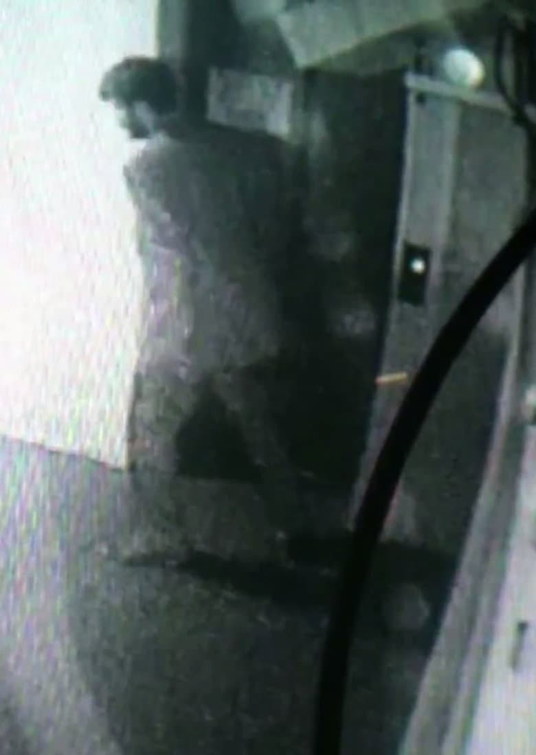 Controle No. 6 poster