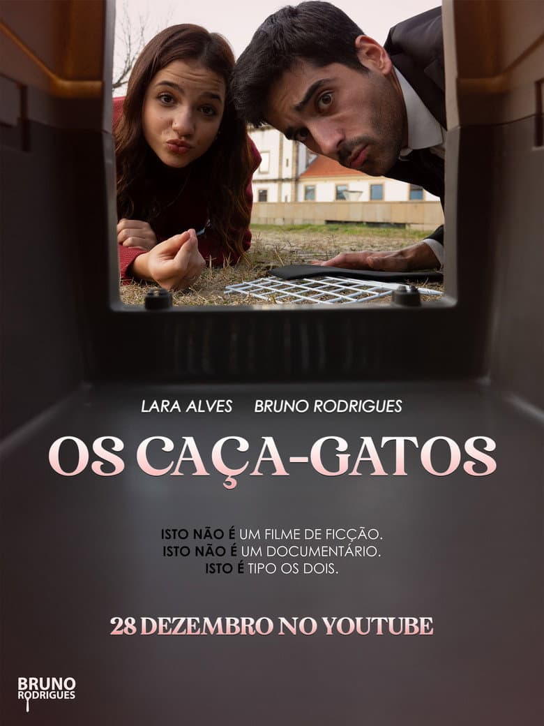 Os Caça-Gatos poster