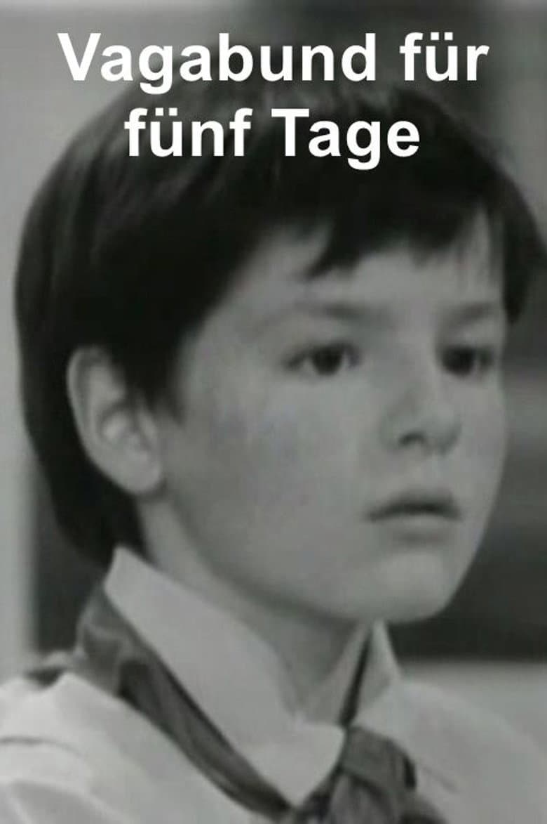 Vagabund für fünf Tage poster