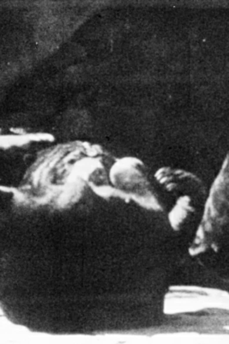 Tarzan’s Kampf mit dem Gorilla poster