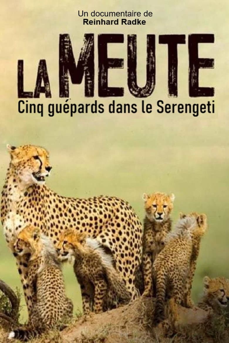 Die fünf Geparde - Gemeinsam durch die Serengeti poster