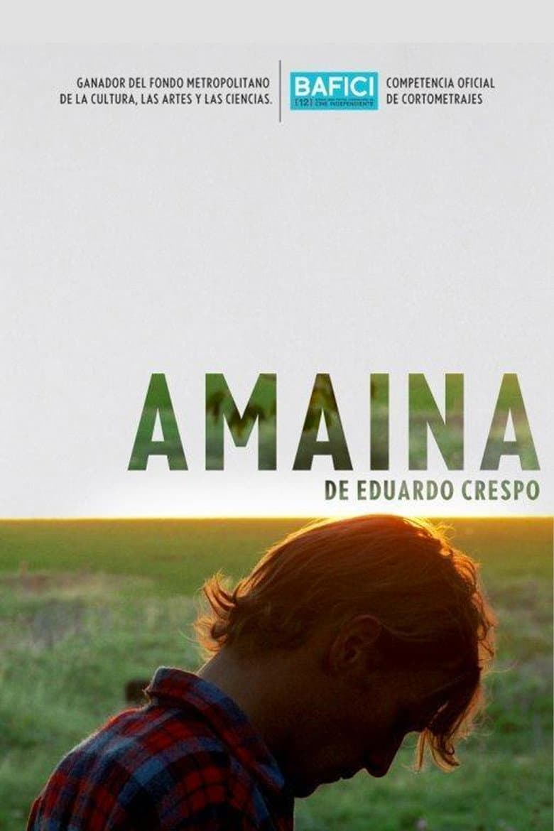 Amaina poster