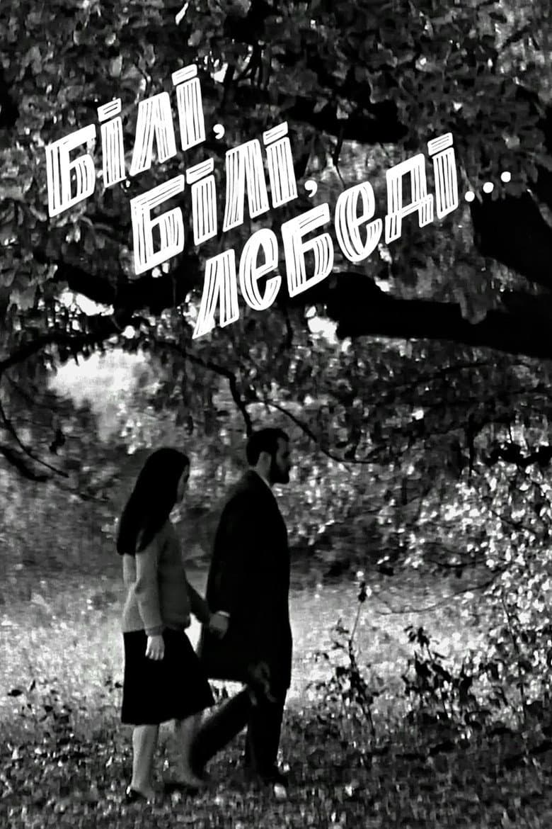 White, white swans... poster