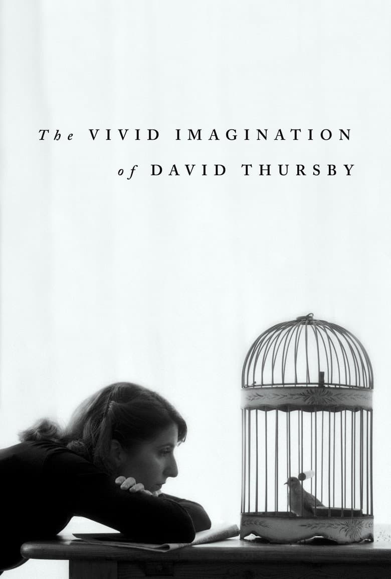 The Vivid Imagination of David Thursby poster