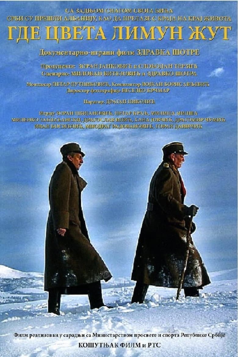 Where the Yellow Lemon Blooms poster