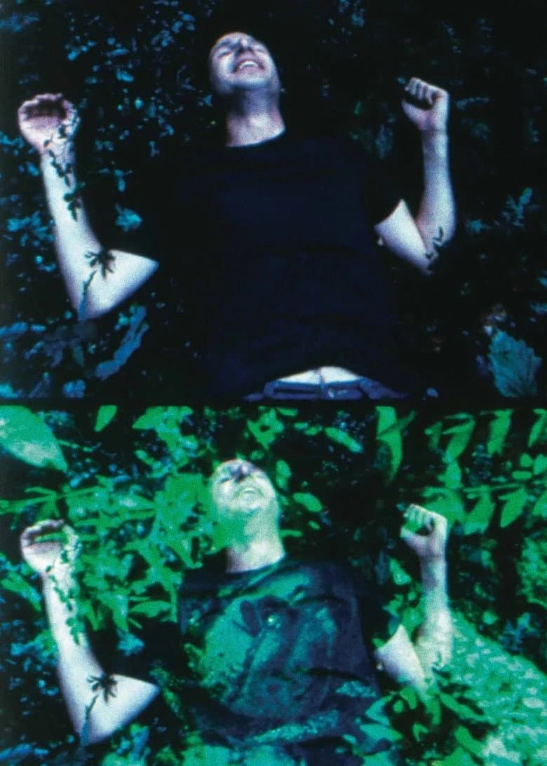 In the Stone House poster