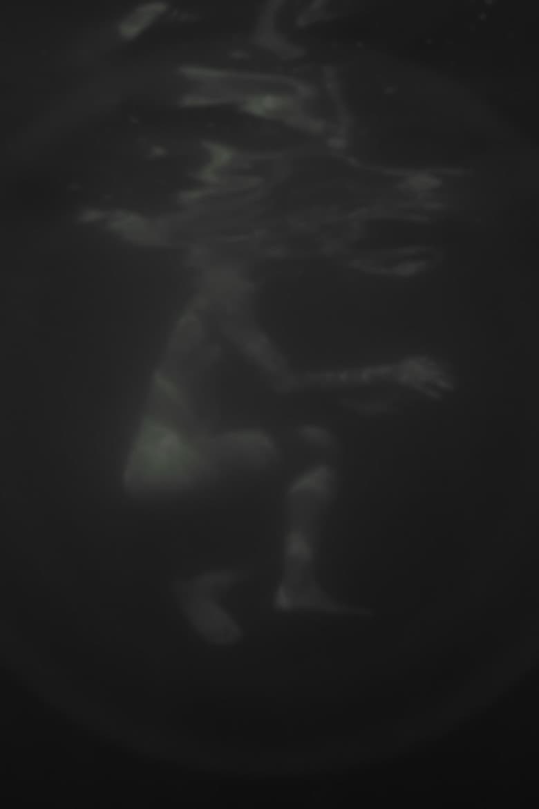 Hazug disznók az álmok is poster