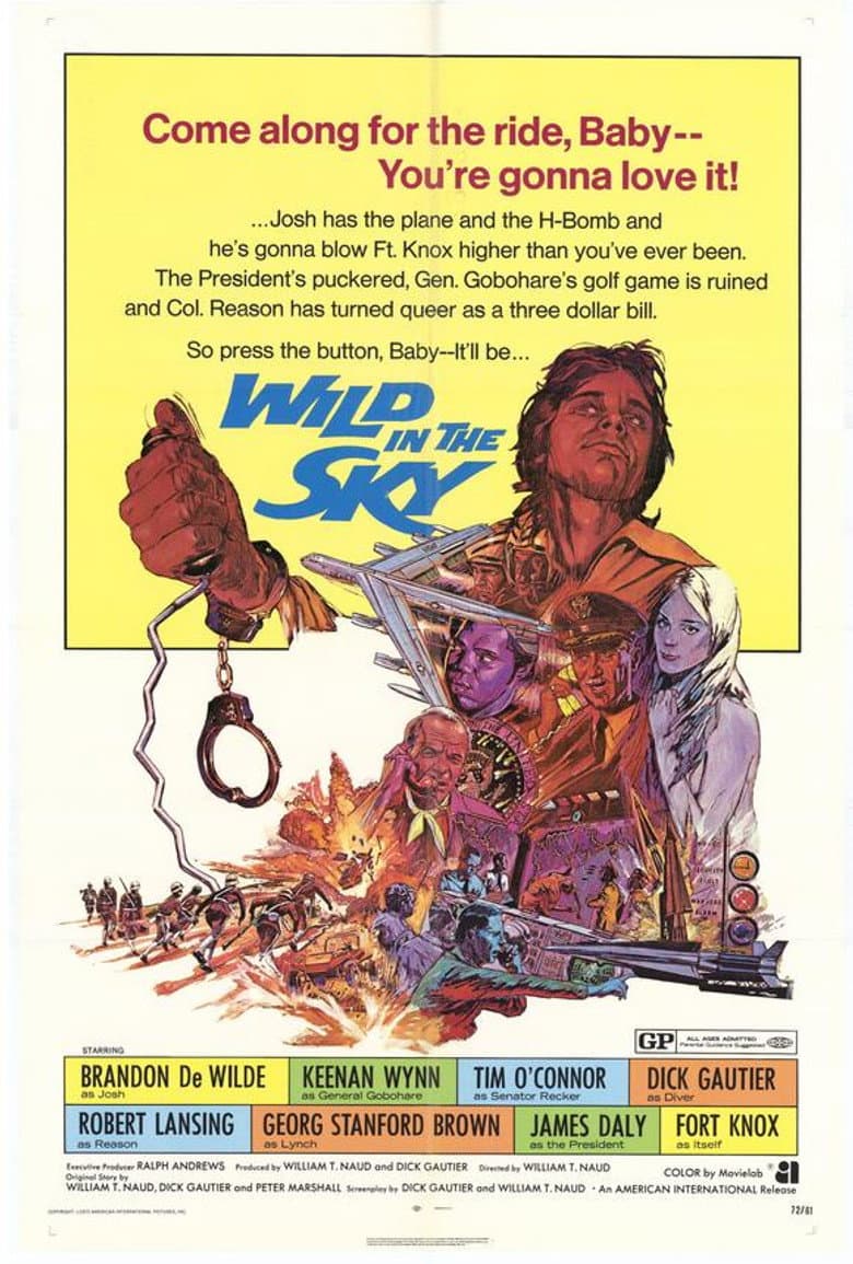 Wild in the Sky poster