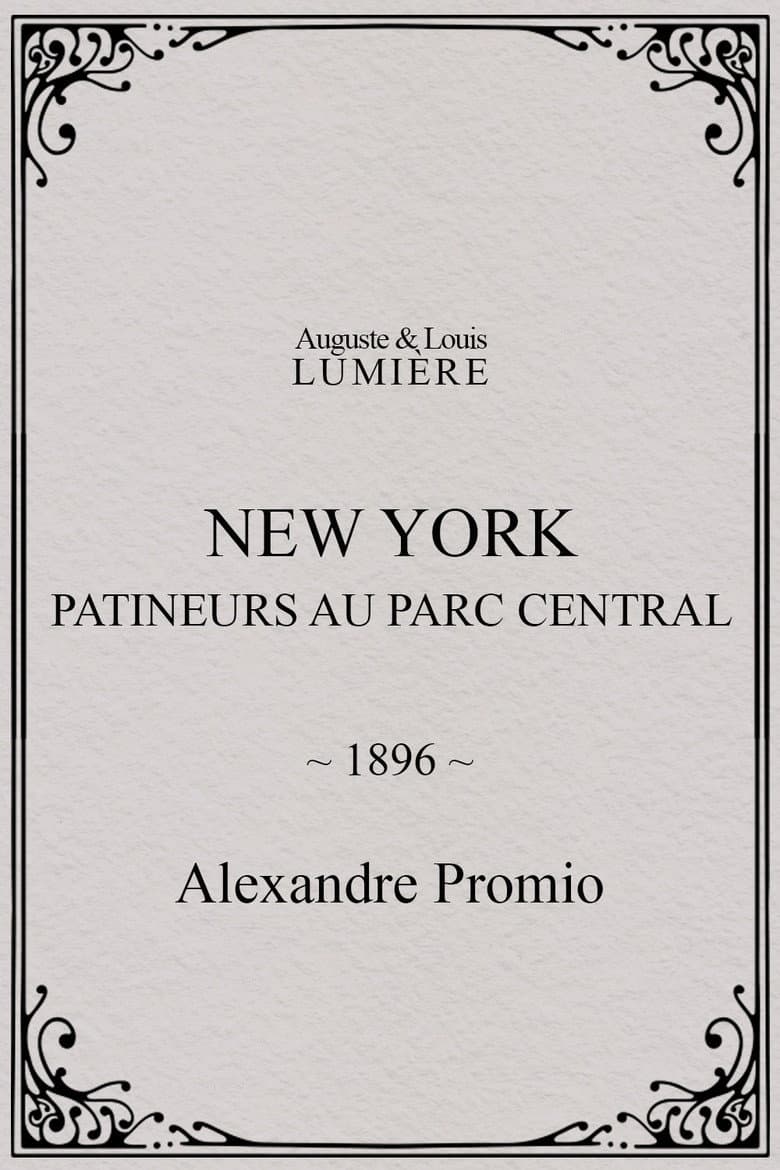 New York, patineurs au Parc central poster