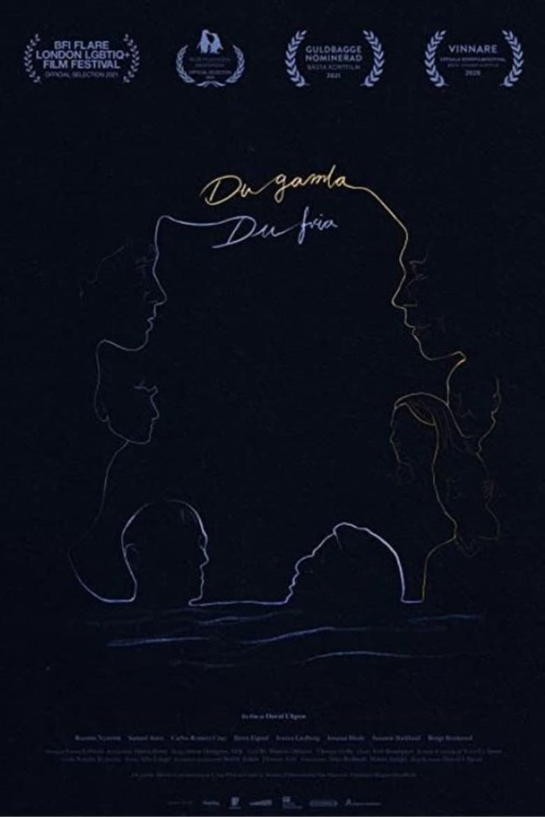 Land of the Free poster