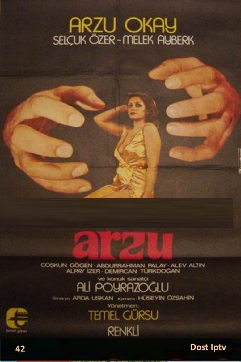 Arzu poster