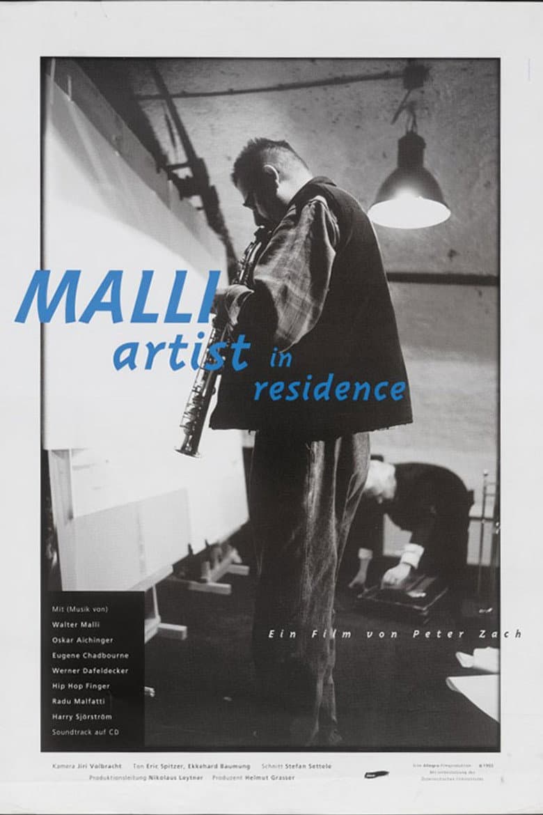 Malli - Artist in Residence poster
