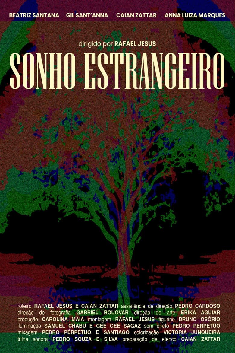 Sonho Estrangeiro poster