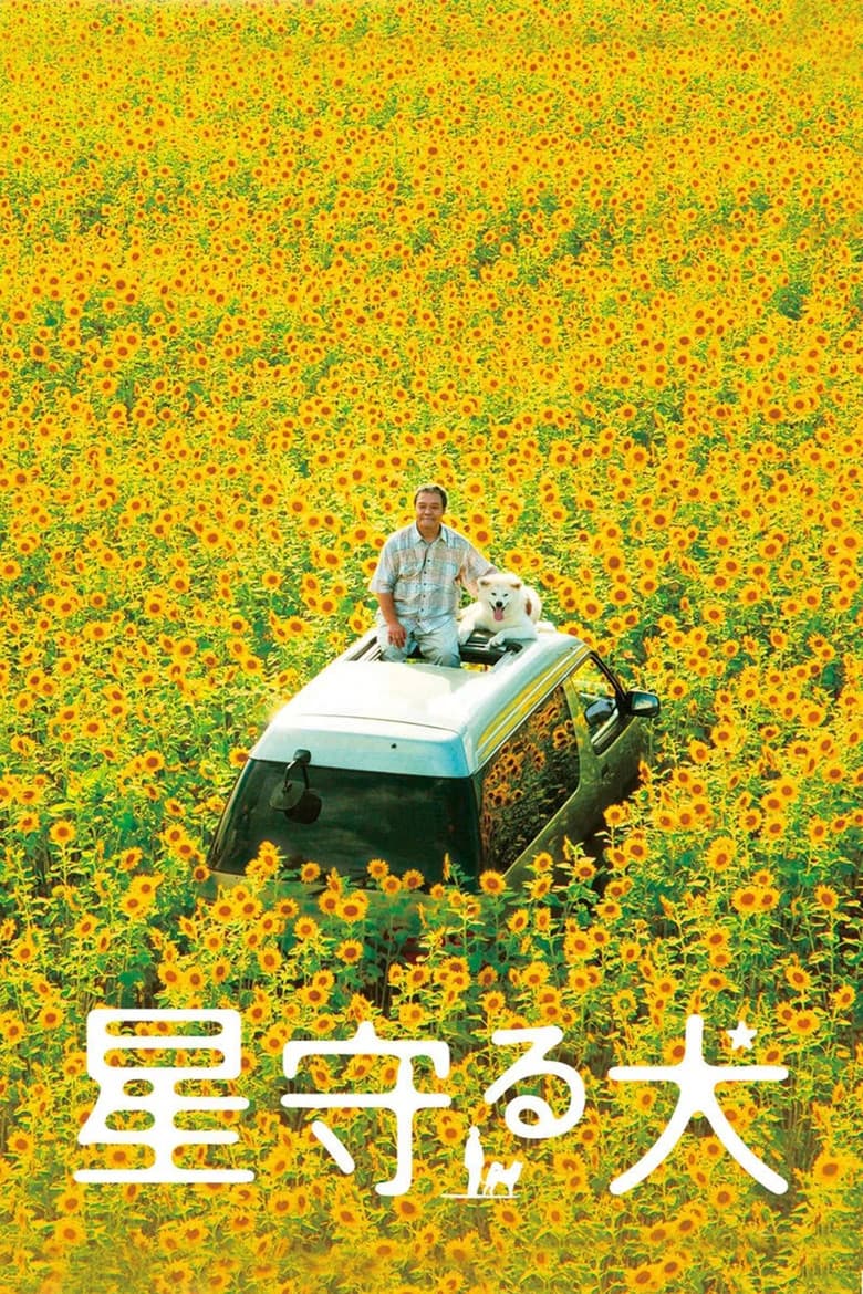 Star Watching Dog poster