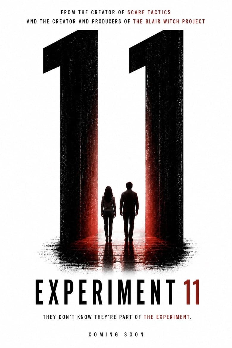 Experiment 11 poster