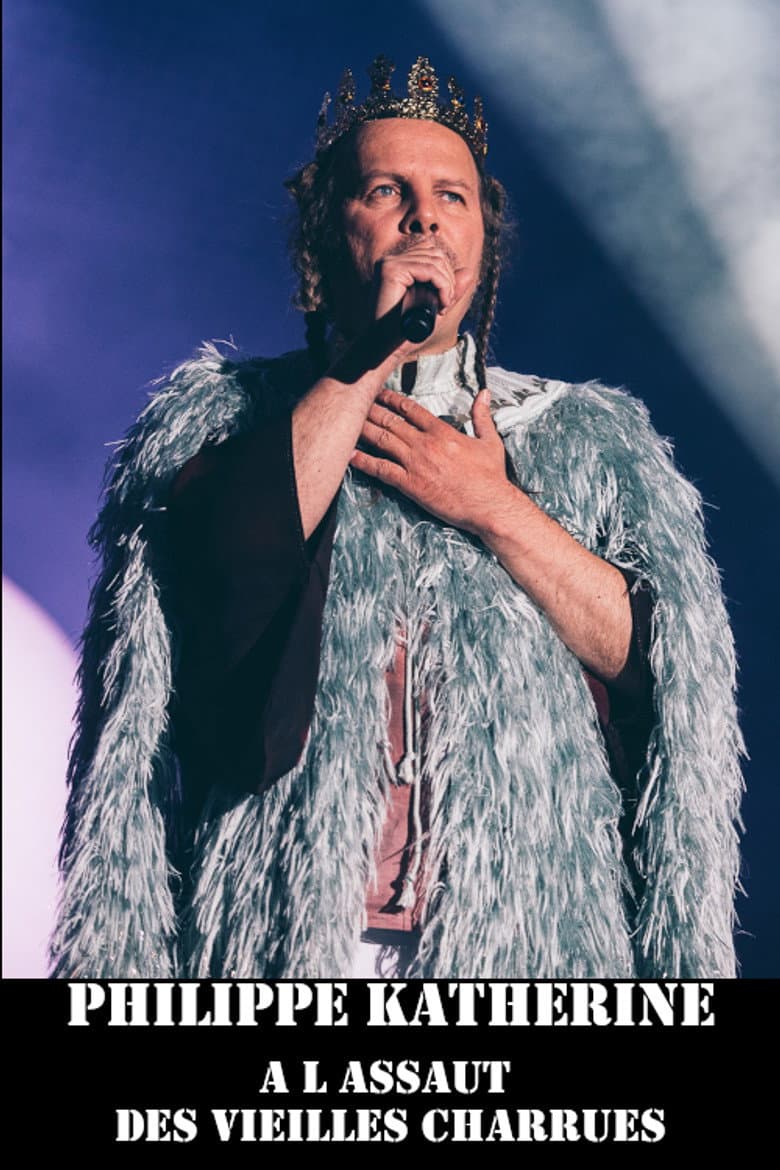 Philippe Katerine au festival des Vieilles Charrues poster