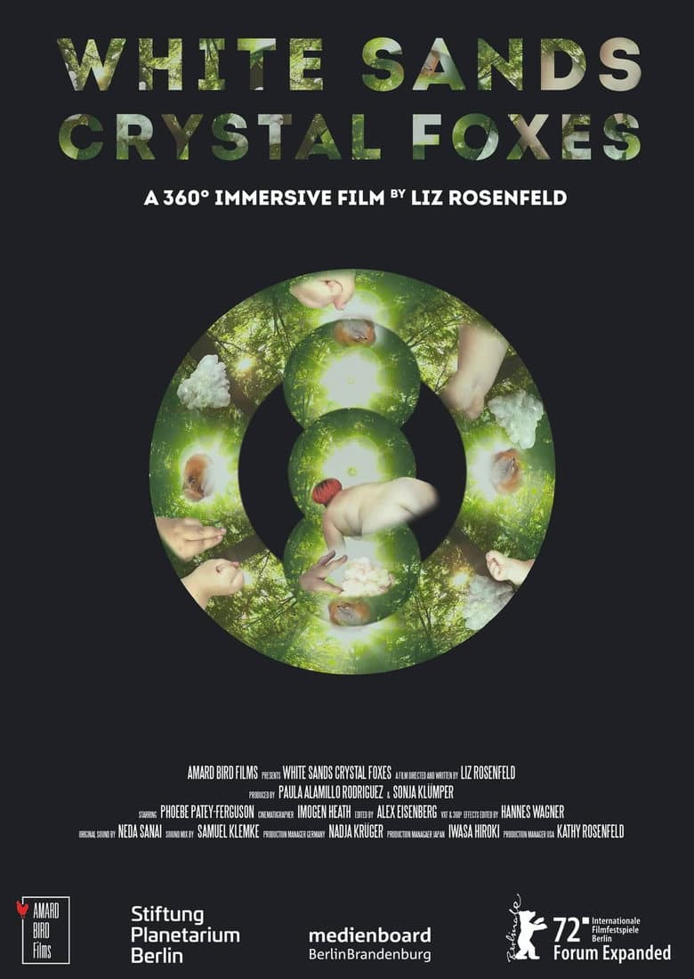 White Sands Crystal Foxes poster