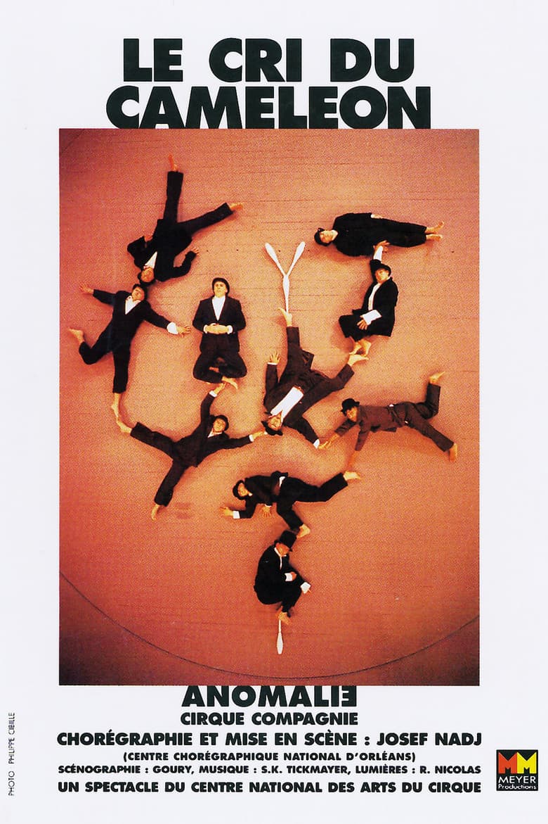 Le Cri du Caméléon poster