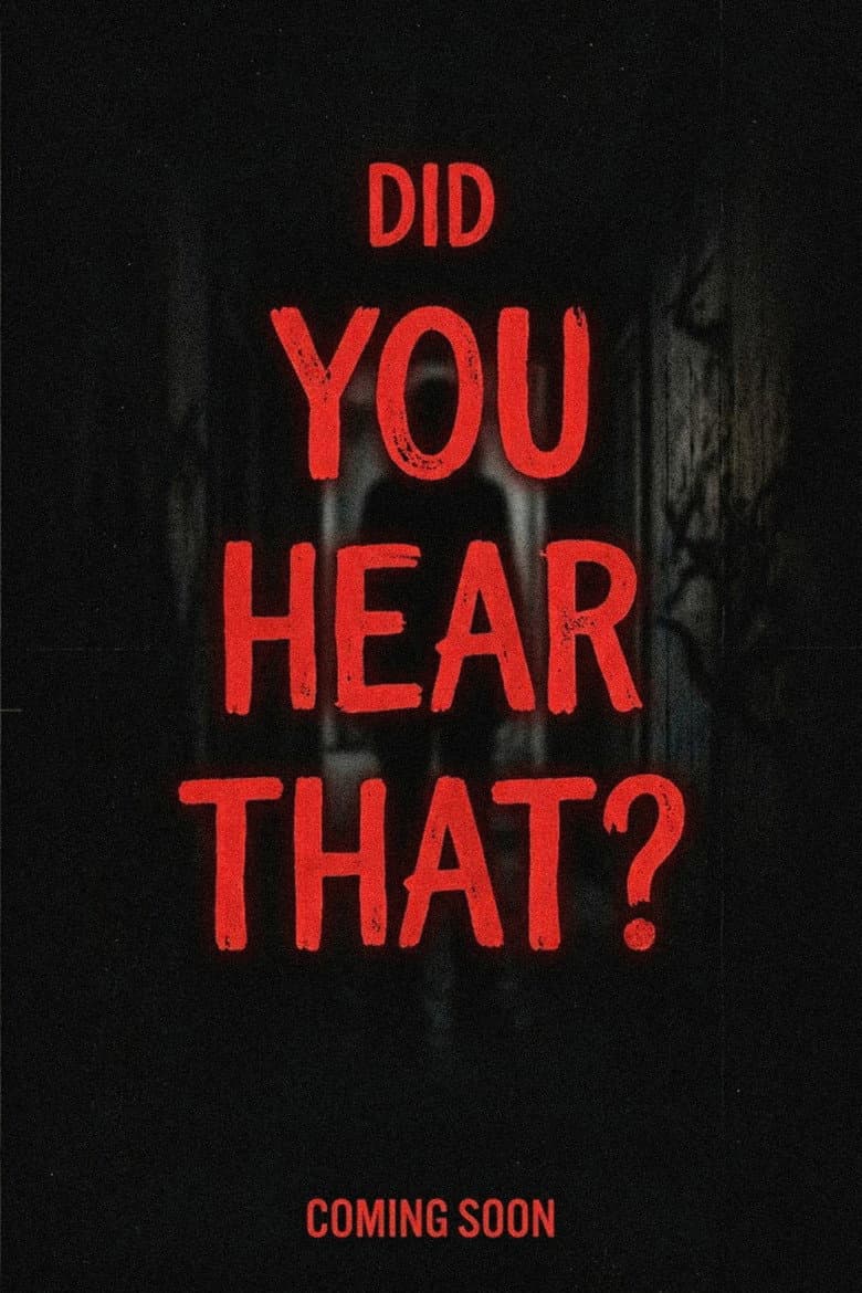 Did You Hear That? poster