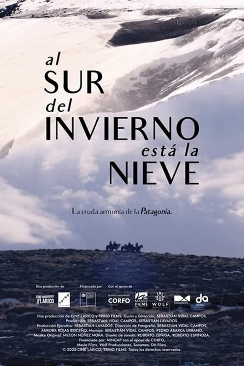 Al sur del invierno está la nieve poster