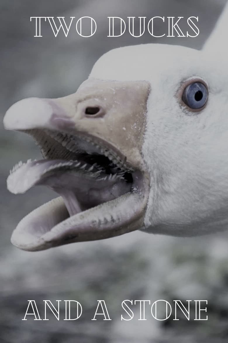 Two Ducks and a Stone poster