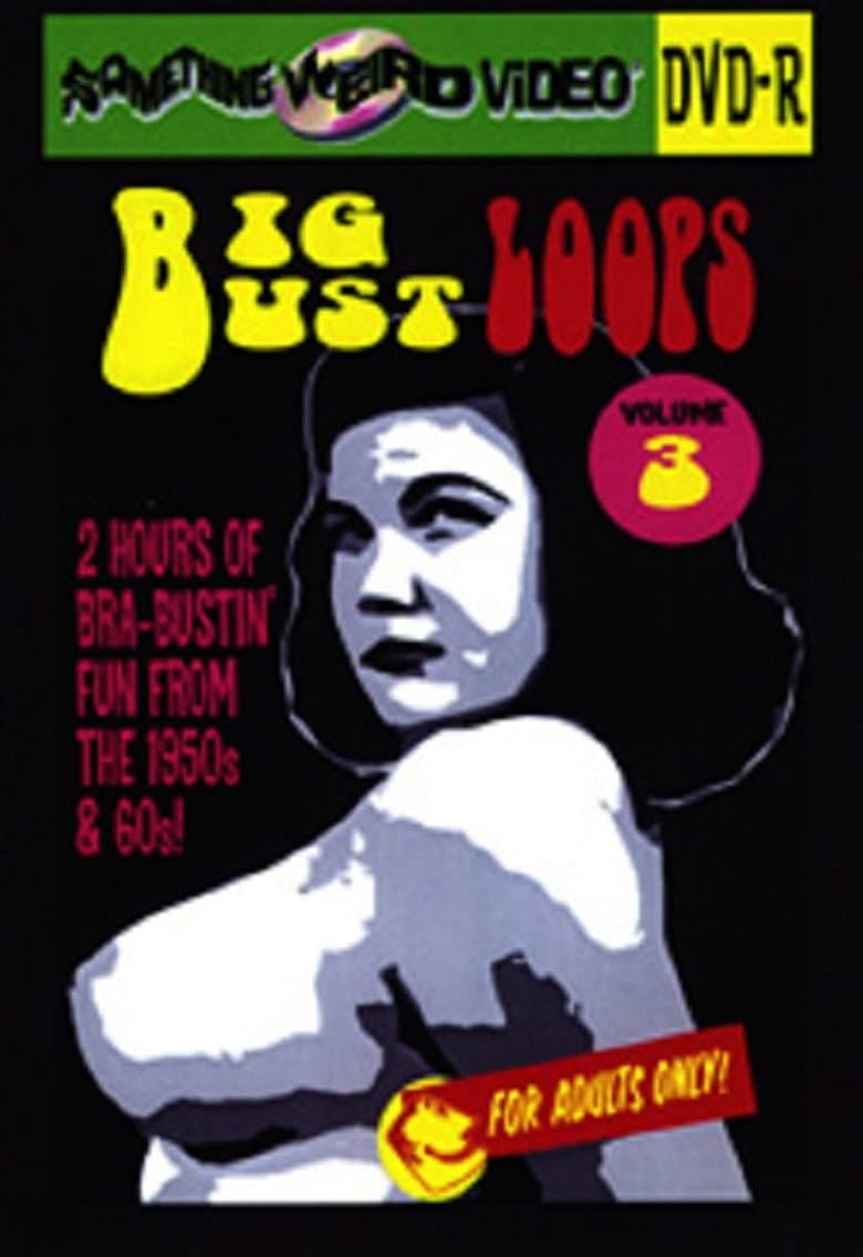 Big Bust Loops Volume 3 poster