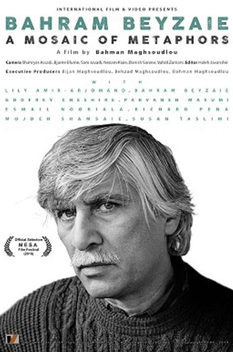 Bahram Beyzaie: A Mosaic of Metaphors poster