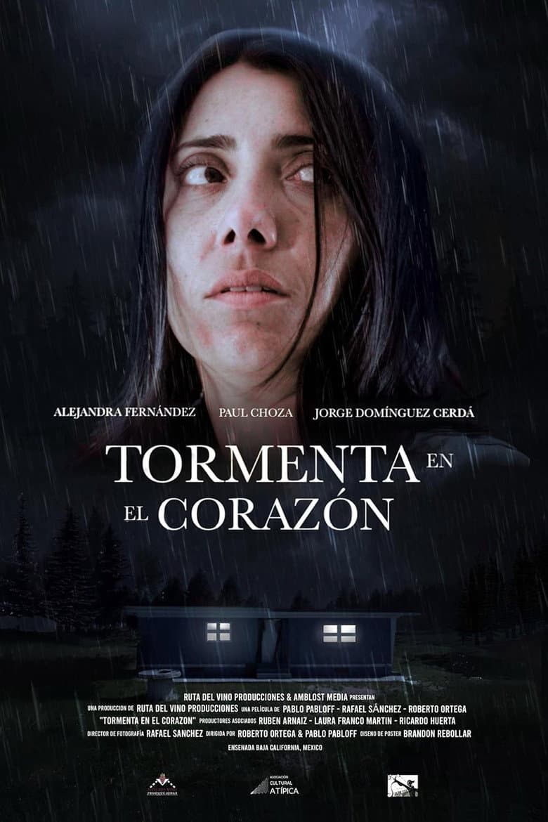 Tormenta en el corazón poster