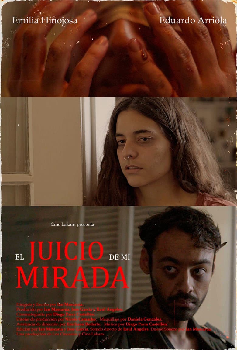 El juicio de mi mirada. poster