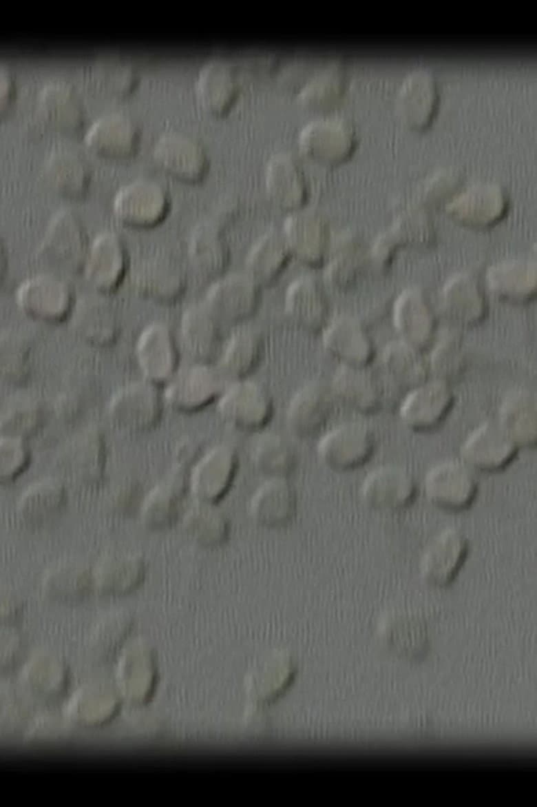 Let Me Count the Ways: 10...9…8…7…6 poster