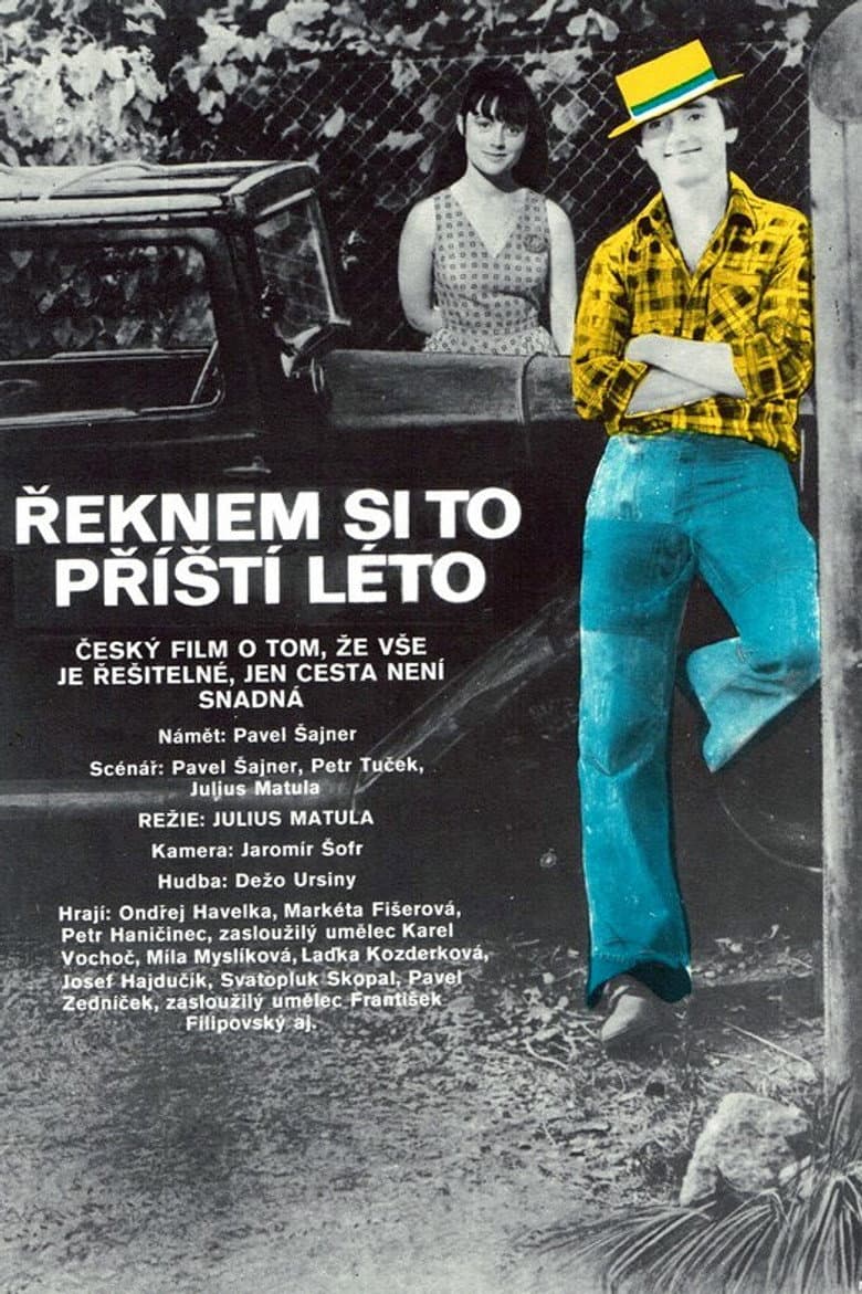 Řeknem si to příští léto poster