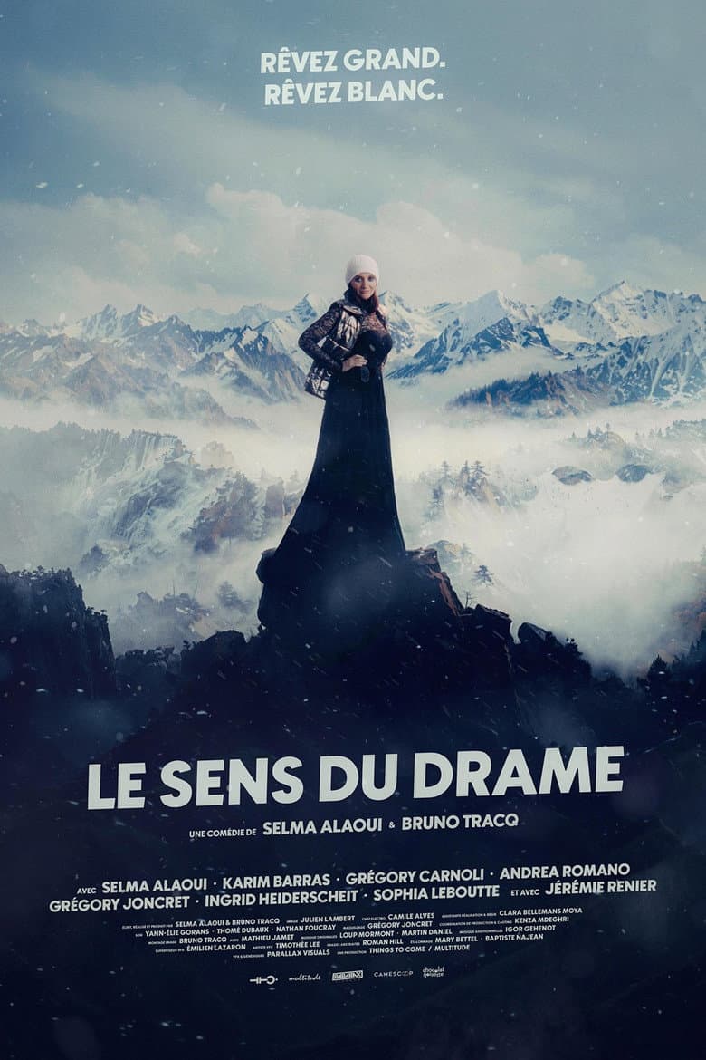 Le Sens du drame poster
