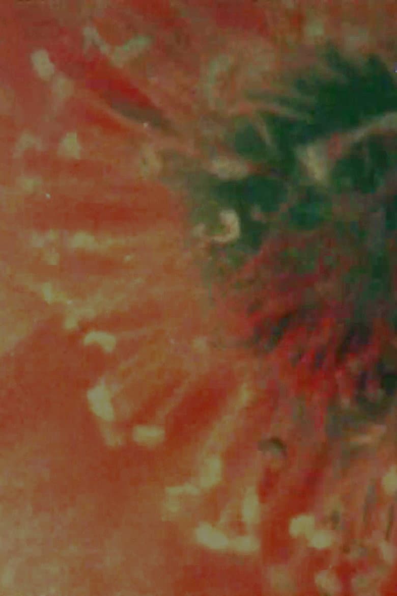 Flower Animation poster