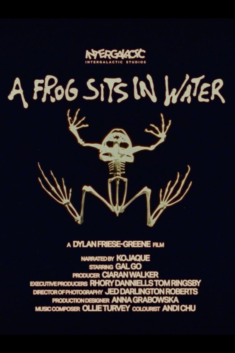 A Frog Sits In Water poster
