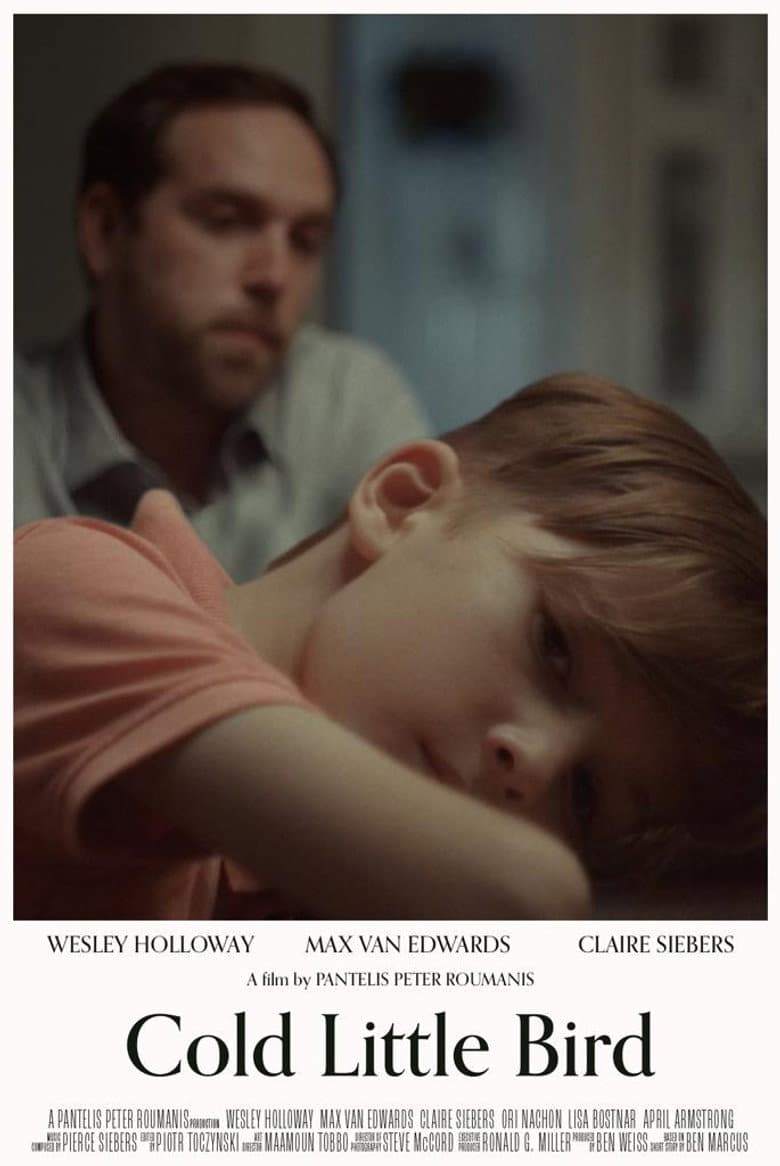 Cold Little Bird poster