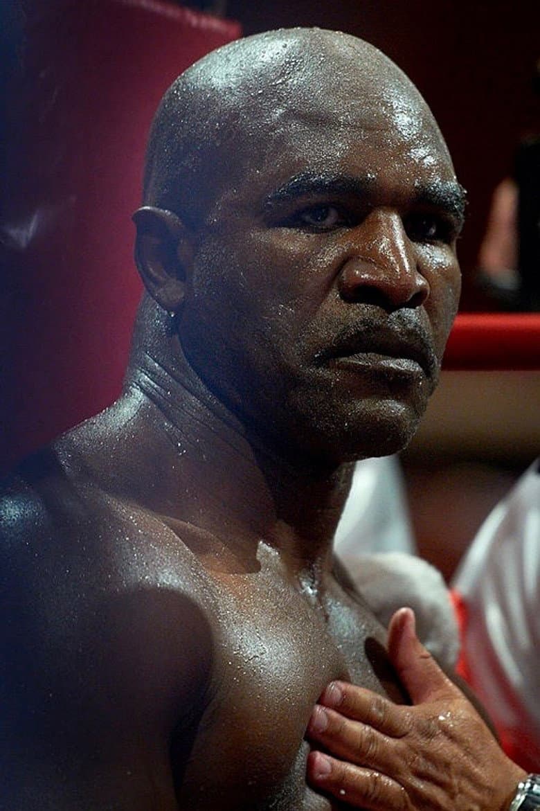Evander Holyfield vs. Brian Nielsen poster