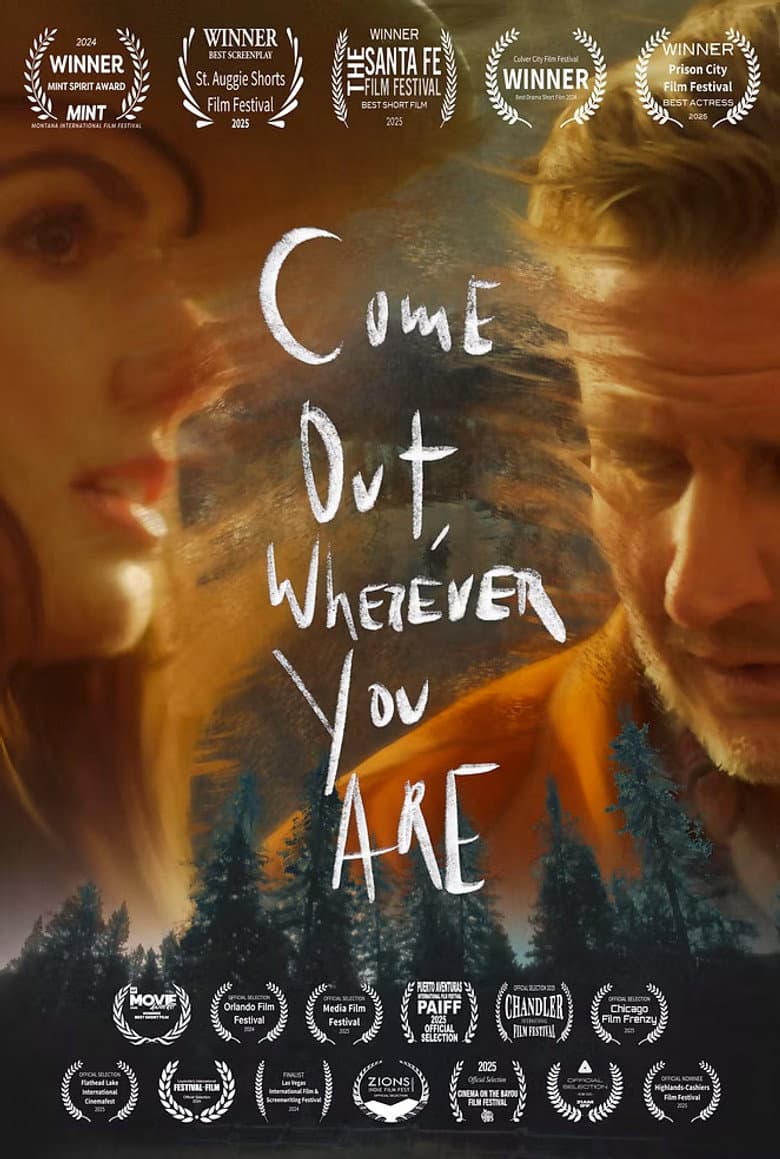 Come Out, Wherever You Are poster