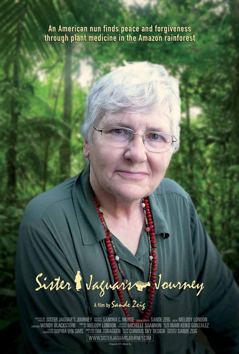 Sister Jaguar's Journey poster